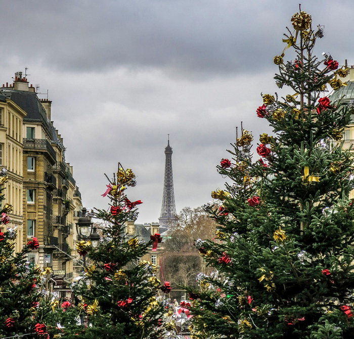 Paris-in-Winter-Photo-by-David-L-Brown