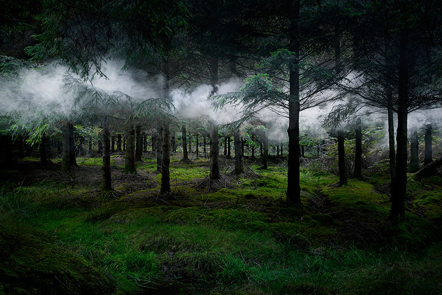 surreal-forest-photograhy-ellie-davis-13__880