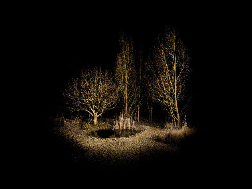 surreal-forest-photograhy-ellie-davis-19__880