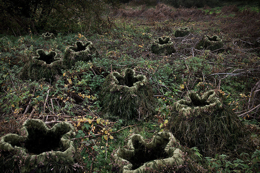 surreal-forest-photograhy-ellie-davis-4__880