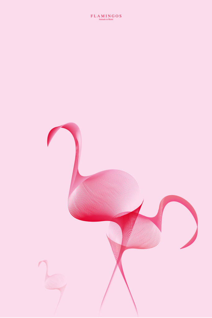 flamingos__880