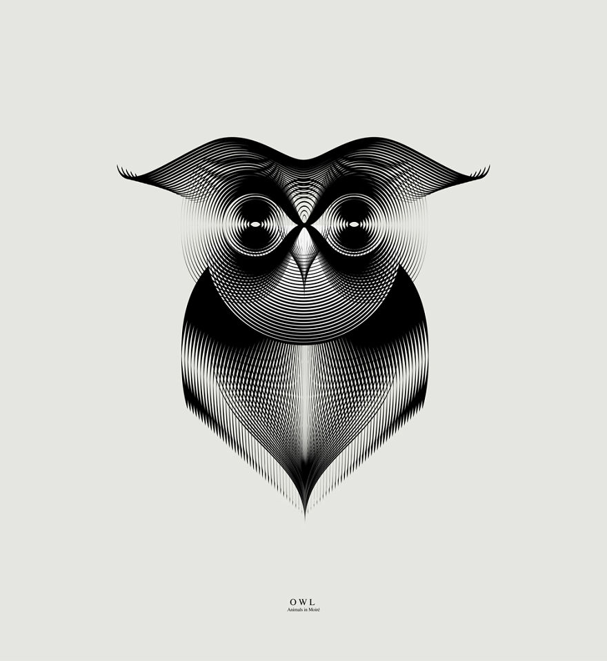 owl_ok__880