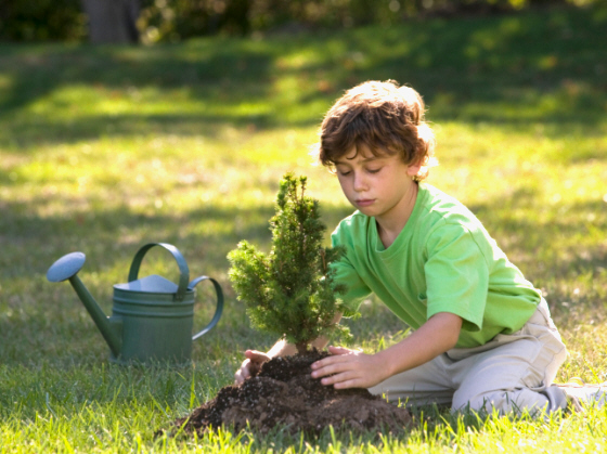Boy Planting Tree fr JS Stock