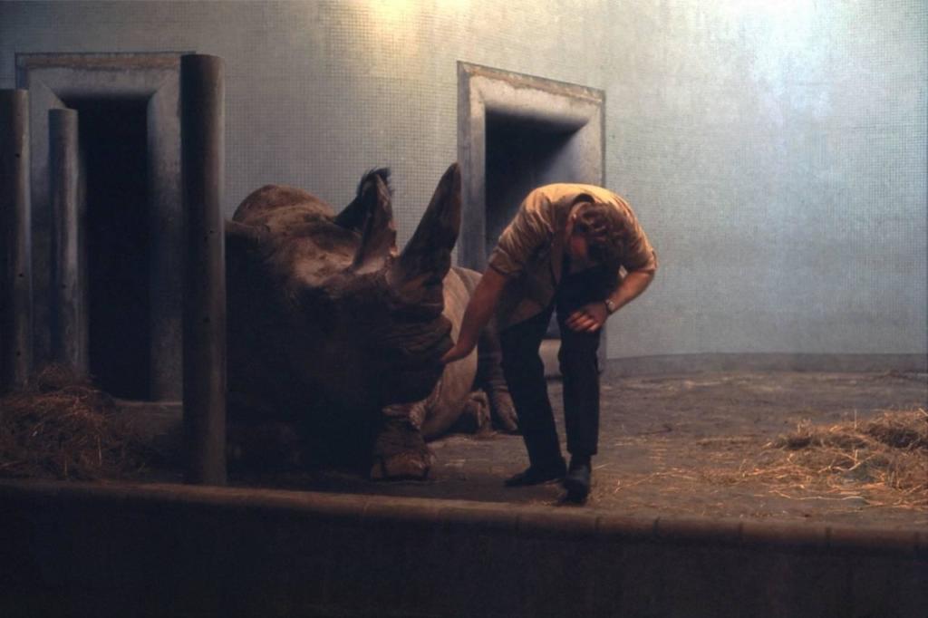 Rhinoceros-and-Veterinarian-2-London-Zoo-Regents-Park-December-196-1280x853