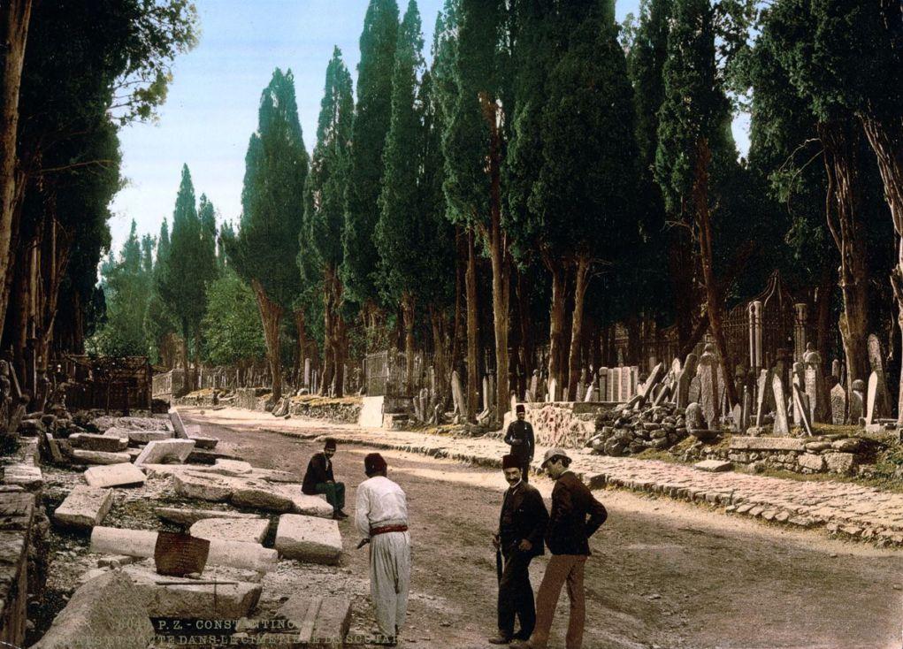Photochroms-of-Istanbul-cypresses