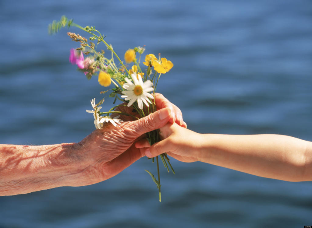 ABNHKB Grandchild offering small bouquet of summer wild flowers to grandmother