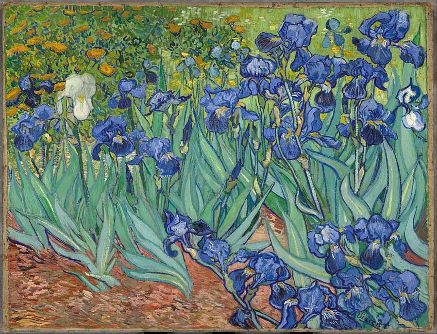 Van-Gogh-irises[1]