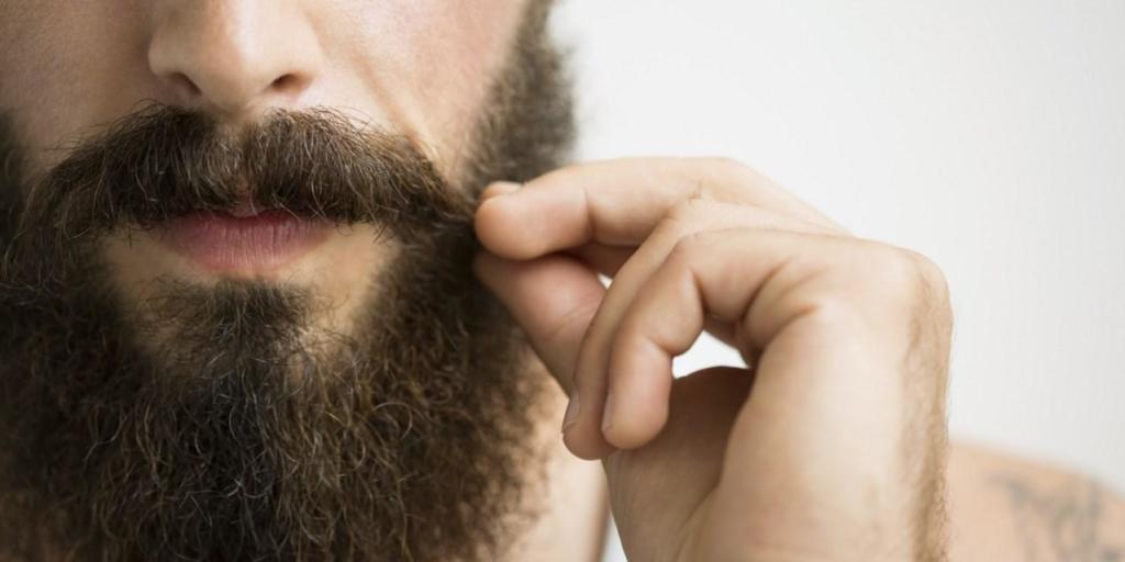Зошто мажите носат брада, од еволутивен аспект