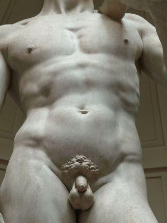 Пенисот на „Давид“ на Микеланџело