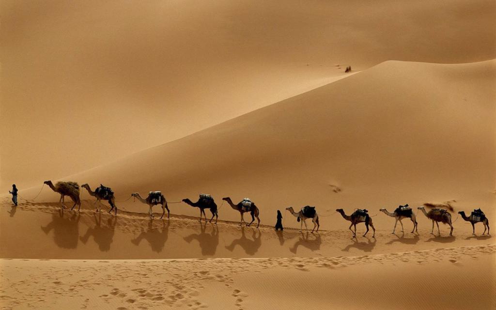 camel-caravan-in-libyan-desert-wallpaper[1]