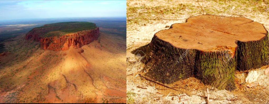 flat-top-mountain-or-tree-stump[1]