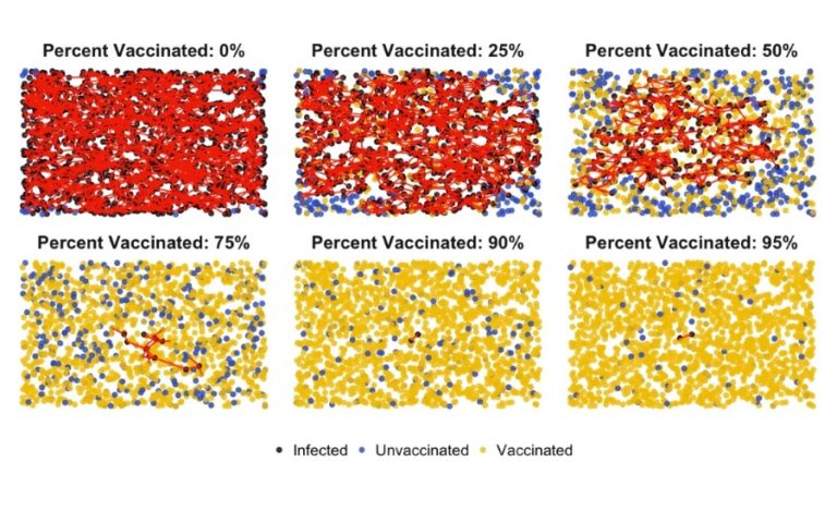 Вакцинација и имунитетот на стадото: Еве како работат