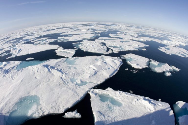 Научниците конечно открија зошто позеленува Арктикот
