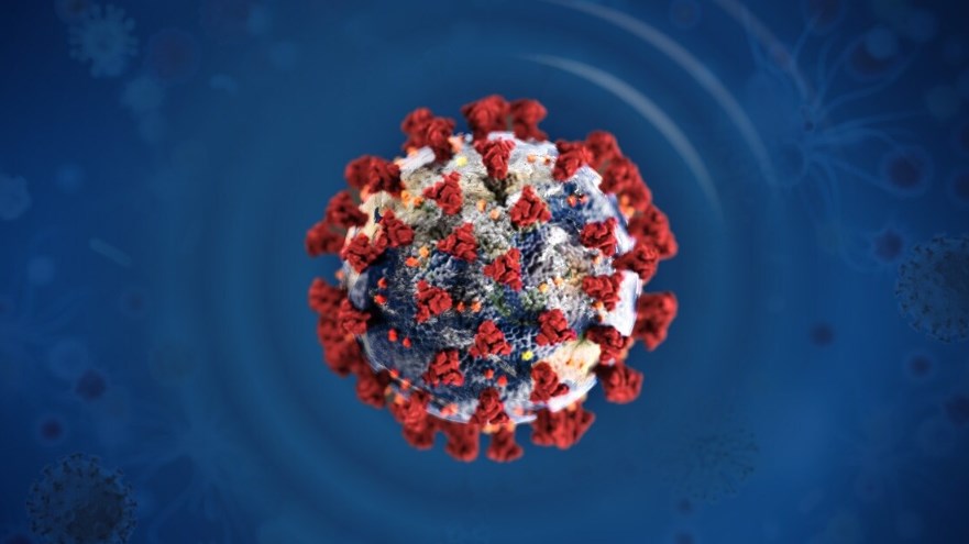 СЗО следи нов сој на коронавирусот со две подваријанти