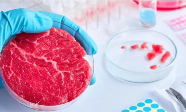 Италија забрани производство и продажба на „месо“ од лабораторија
