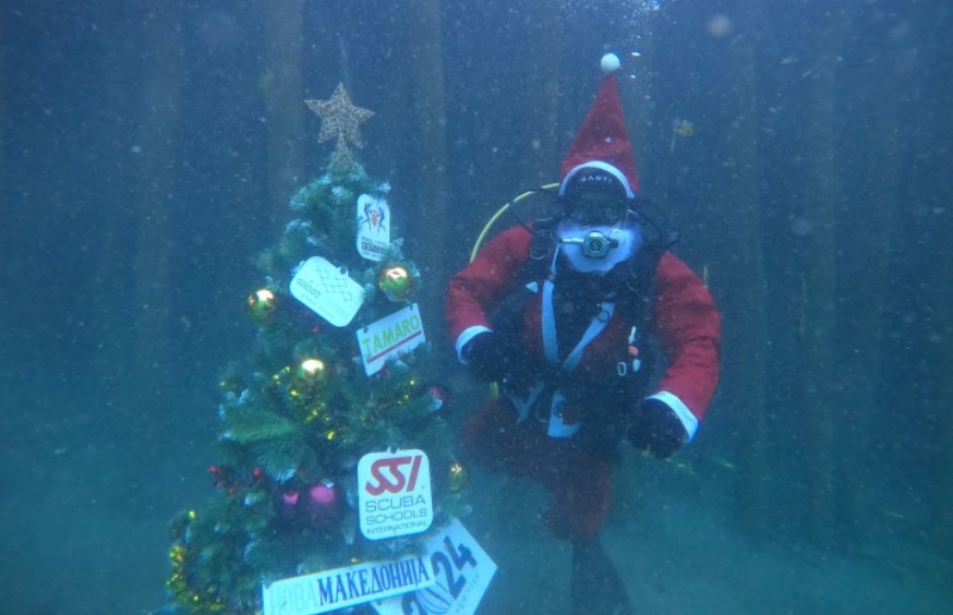 Блесна новогодишната елка во водите на Охридското Езеро