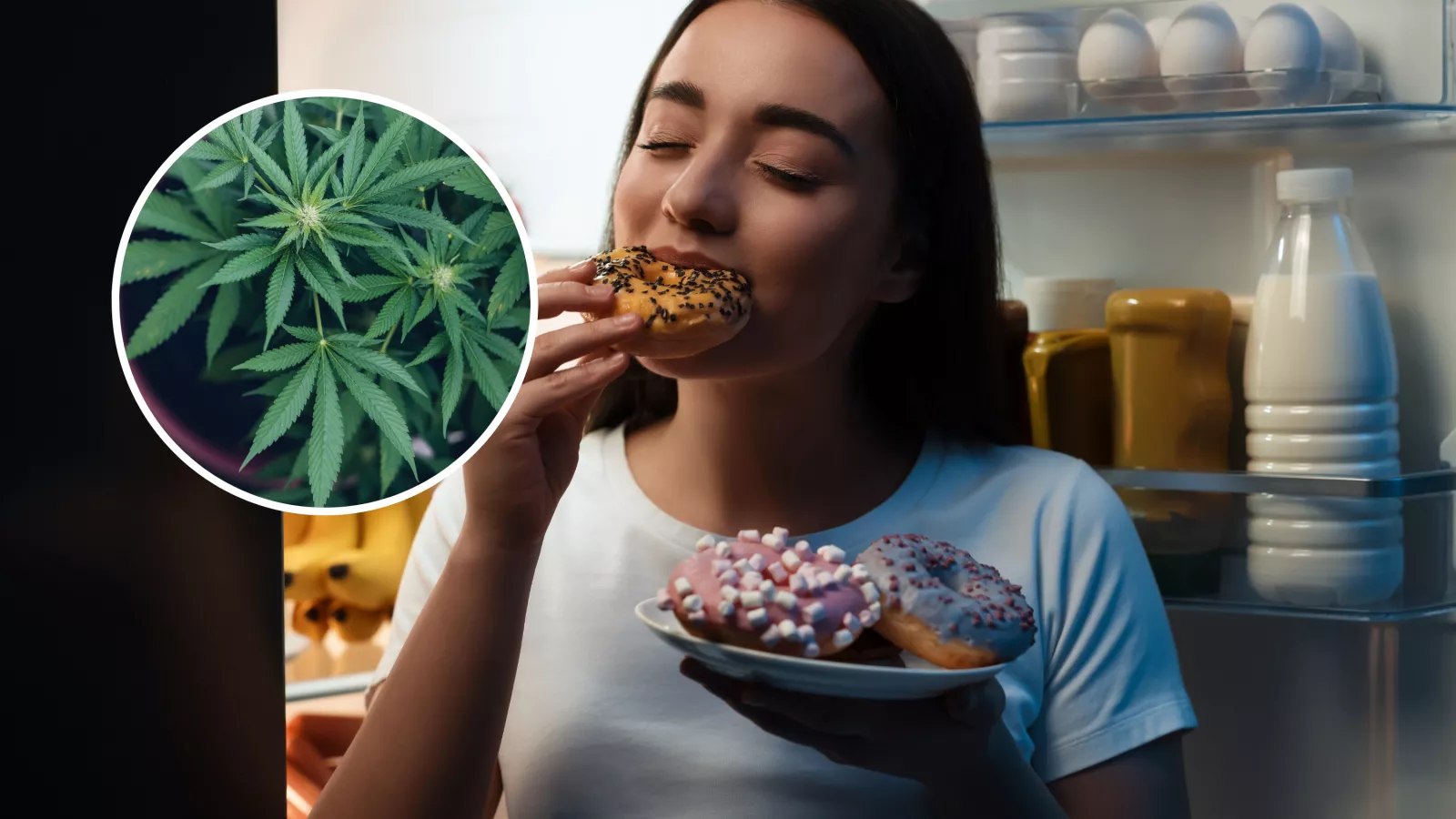Зошто марихуаната предизвикува глад? – Trn.mk
