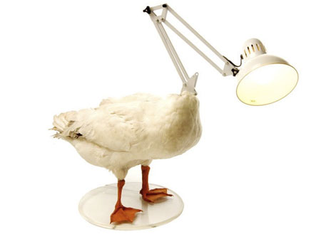 dead-duck-lamp.jpg