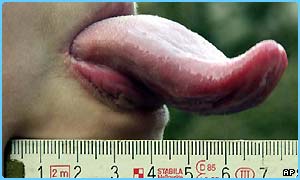 tongueruler300