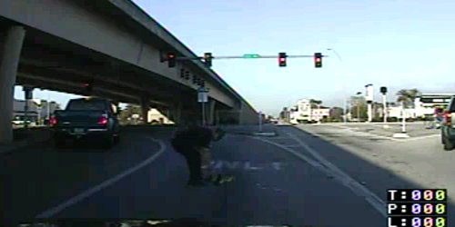Полицаец спаси патки на автопат (видео)