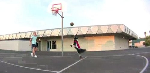 Куче што игра кошарка (видео)